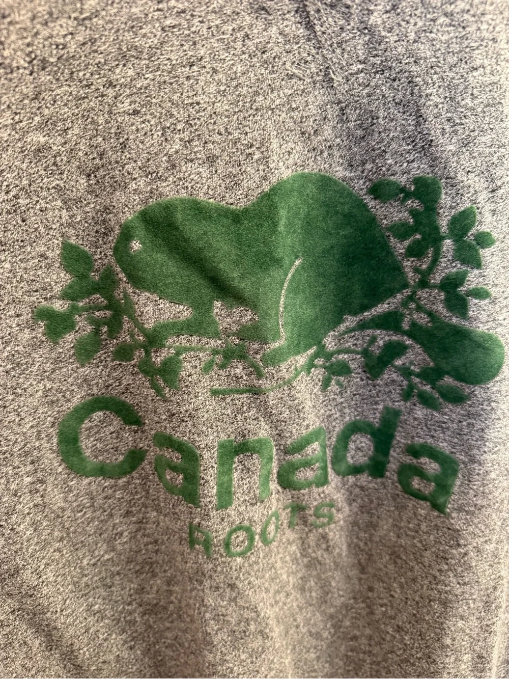 Roots women’s Grey Tee with Green Canada Beaver Logo - Picture 3 of 11